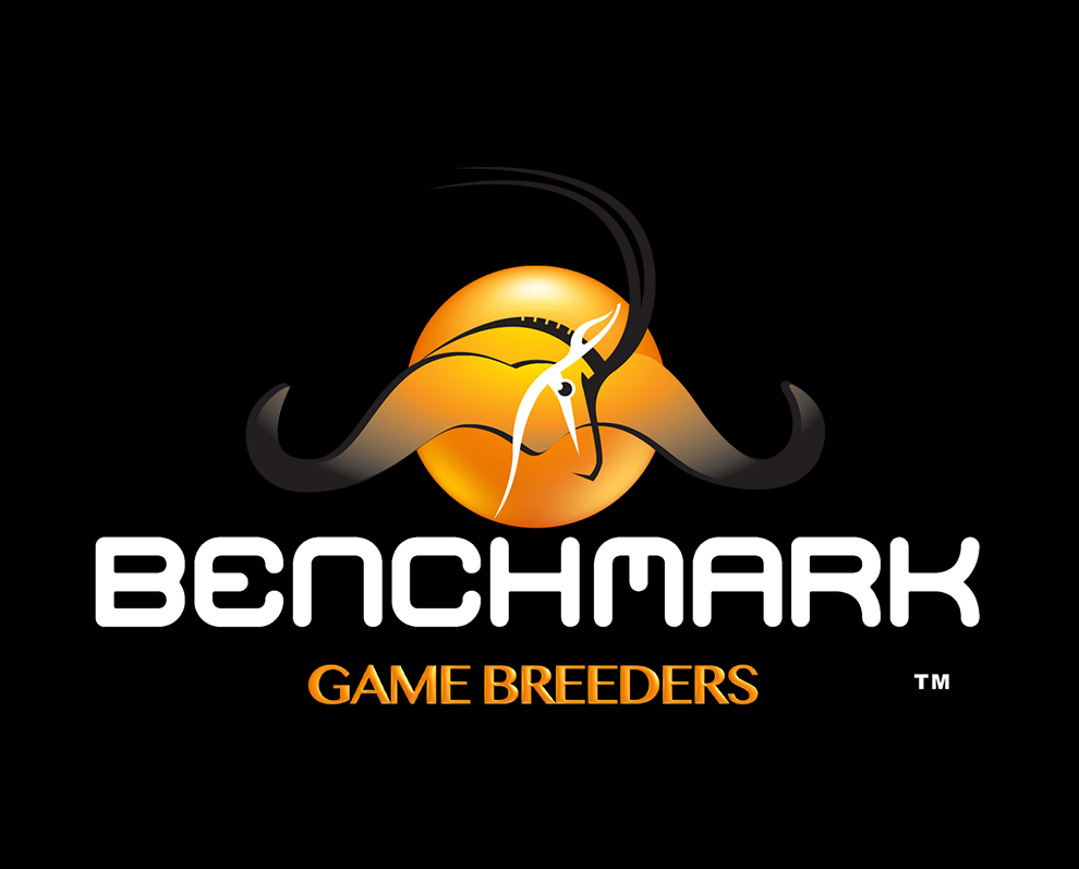 benchmark-logo
